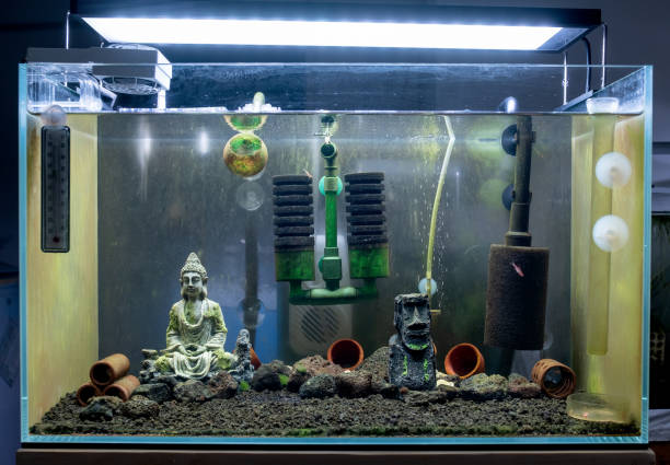 Acquario completo con illuminazione LED e filtro a spugna visibili